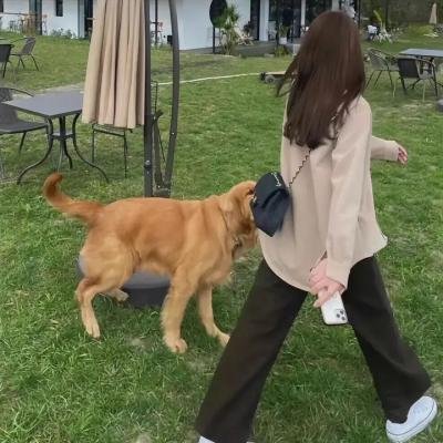 我的铁血金戈梦
